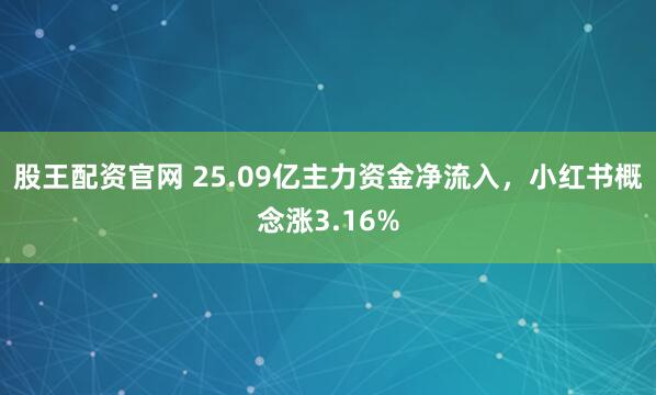 股王配资官网 25.09亿主力资金净流入,小红书概念涨3.16%