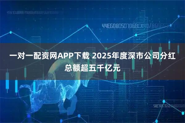 一对一配资网APP下载 2025年度深市公司分红总额超五千亿元