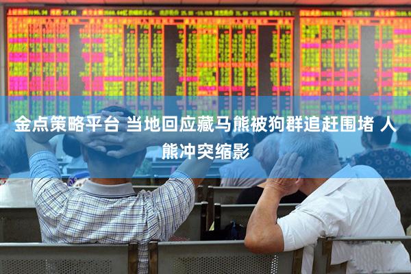 金点策略平台 当地回应藏马熊被狗群追赶围堵 人熊冲突缩影